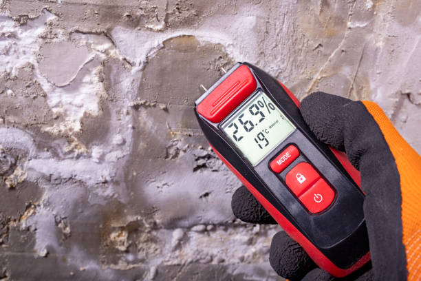 Best Residential Mold Removal  in Jamestown, KY
