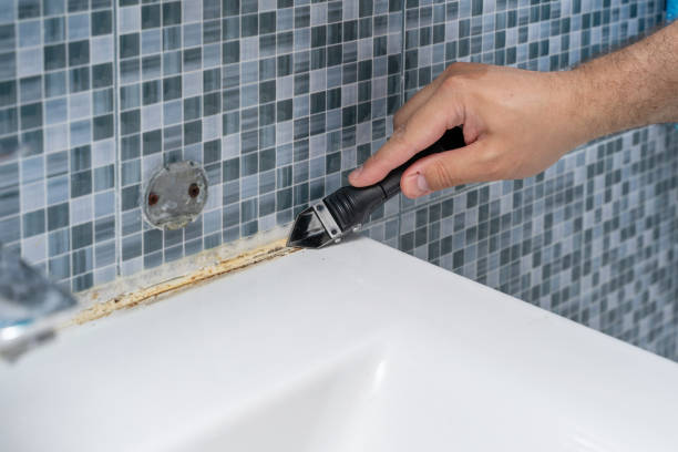 Best Mold Cleaning Services  in Jamestown, KY