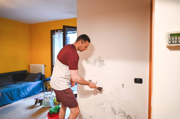 Reliable Jamestown, KY Mold Removal Solutions